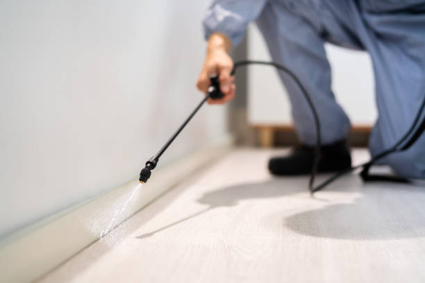 Licensed Termite Control service in Pantops, VA - Nex Pest Control