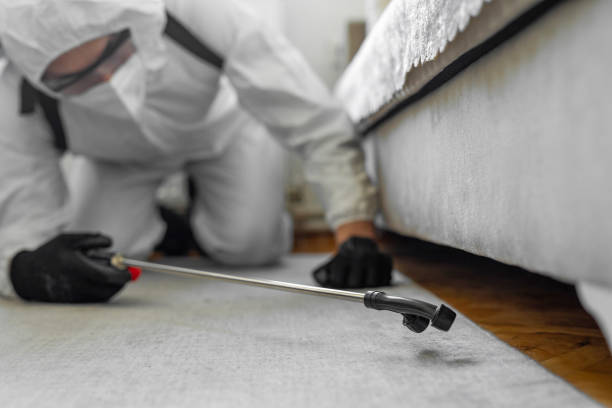 Professional Termite Control technician working in Pantops, VA