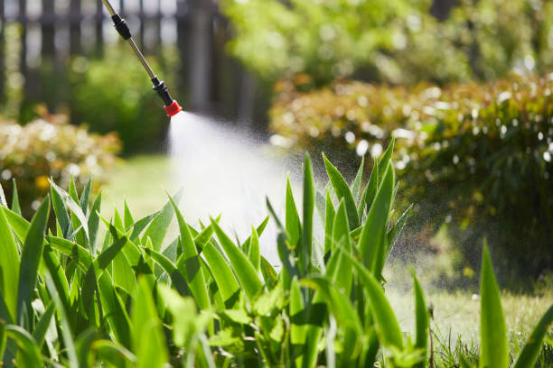 24/7 Emergency Termite Control experts in Pantops, VA