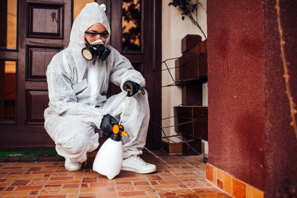 Reliable Termite Control contractor in Pantops, VA by Nex Pest Control