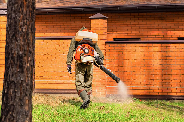 Top rated local Termite Control specialists in Pantops, VA